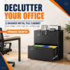 Letaya 2 Drawer File Cabinet with Lock
